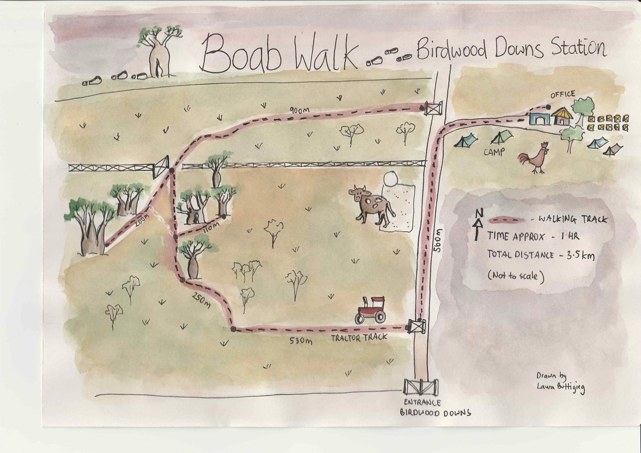 Boab Walk Trail