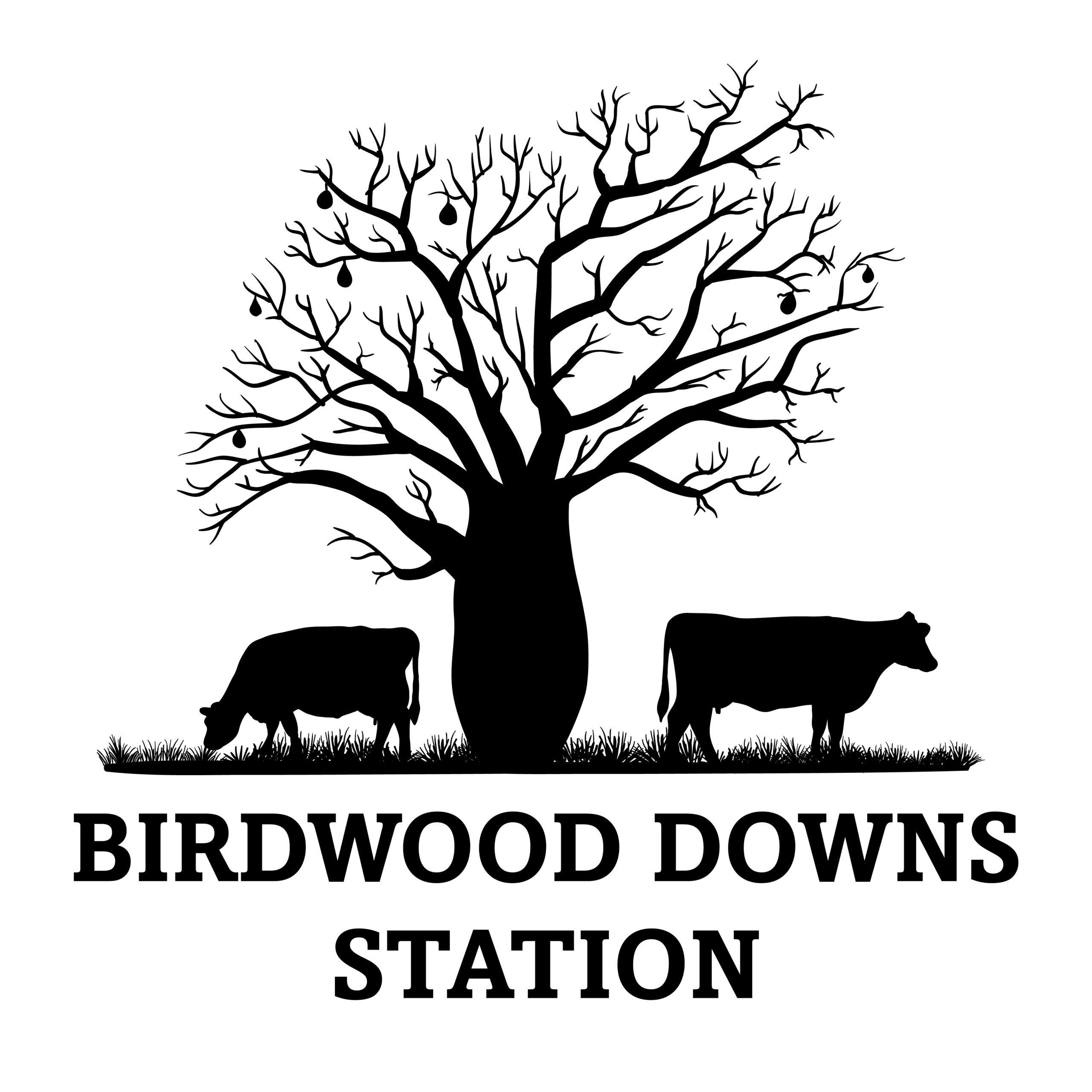 Birdwood Downs Station Stay